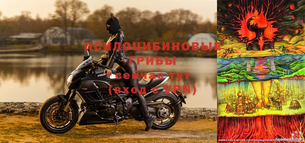 стаф Семёнов
