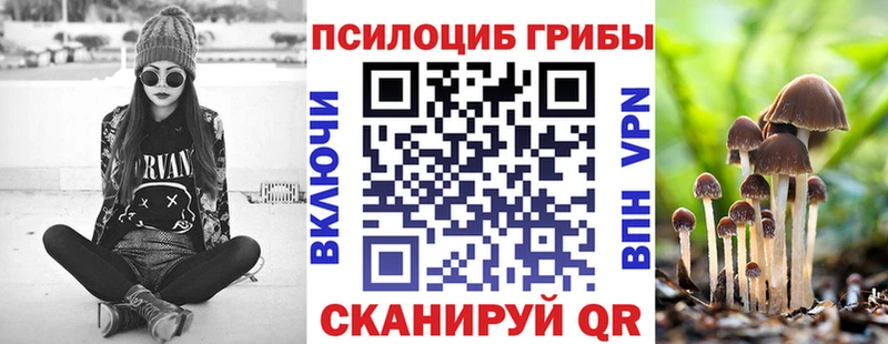 где продают   Ялта  Галлюциногенные грибы Cubensis 